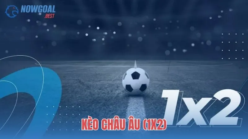 Kèo Châu Âu (1X2) - Lựa chọn tối ưu cho người mới