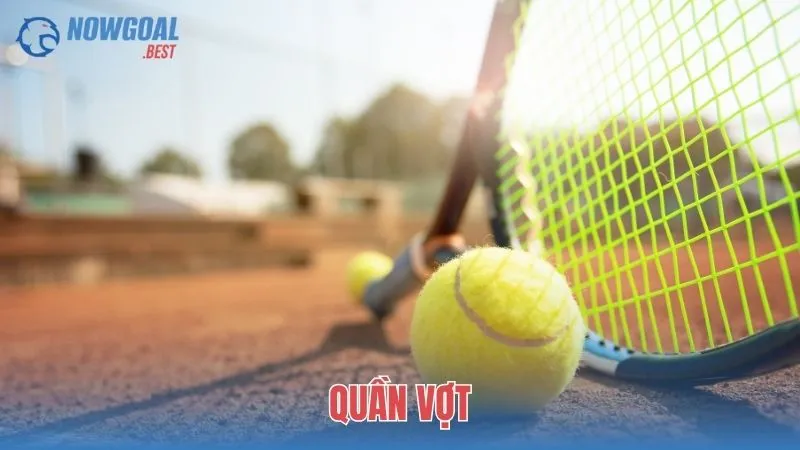Quần Vợt: Theo Dấu Những Đường Bóng Đẳng Cấp Trên Mọi Mặt Sân
