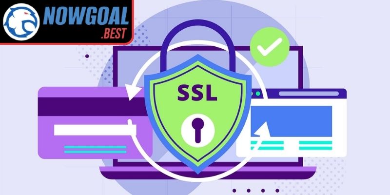 Mở rộng chuẩn hóa và quốc tế hóa (2015–2018)